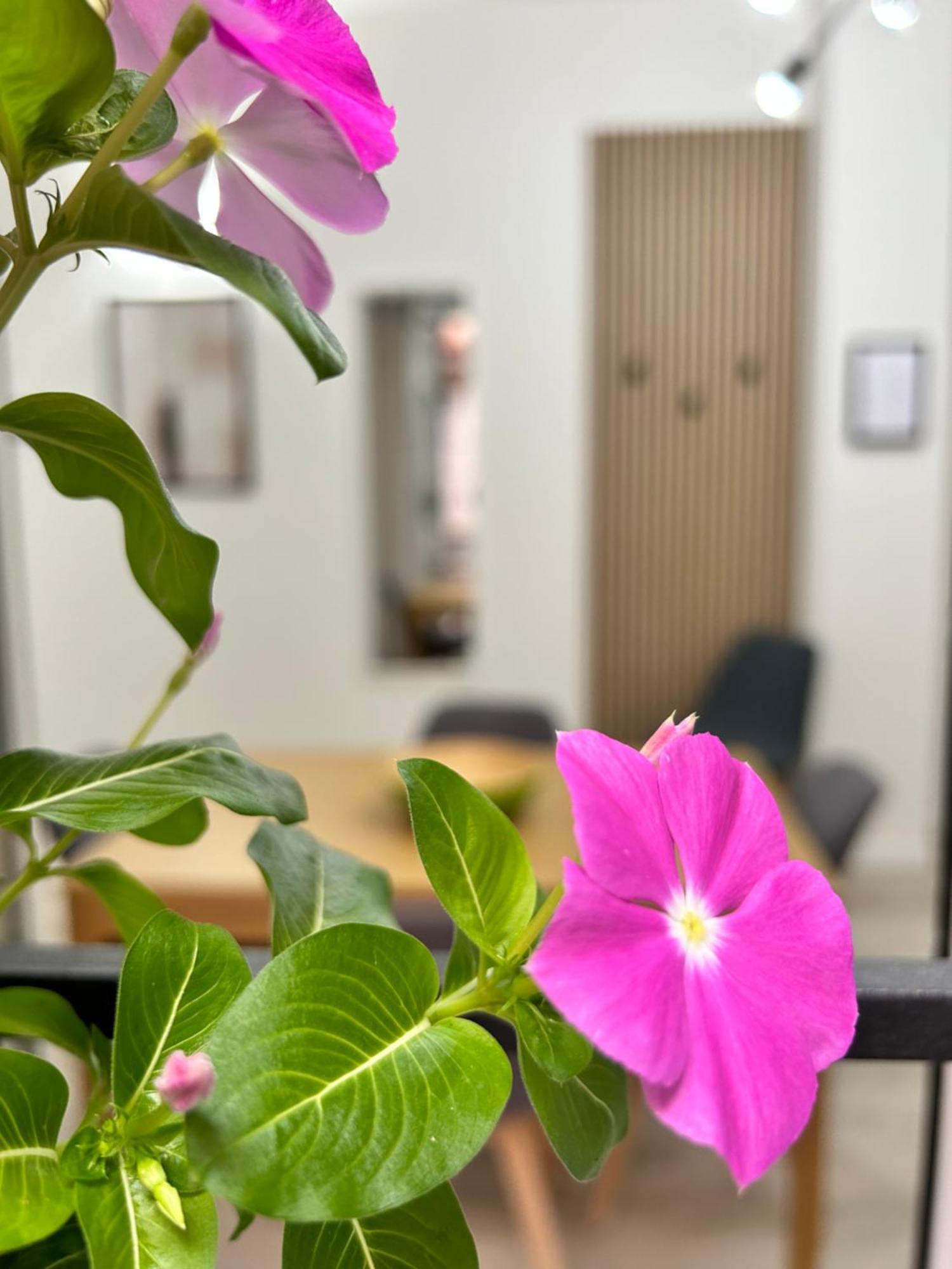 Tezone Seven Apartments 베로나 외부 사진