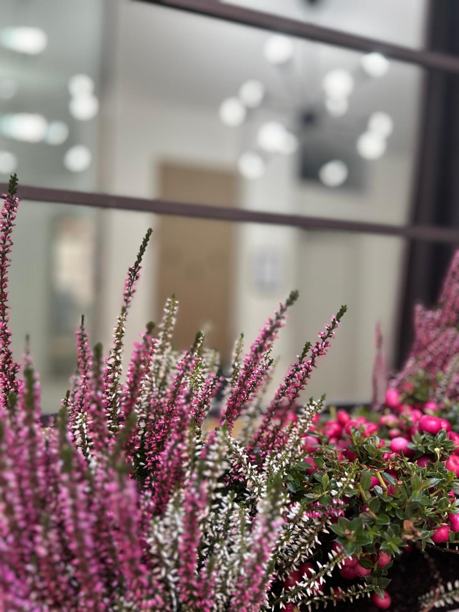 Tezone Seven Apartments 베로나 외부 사진